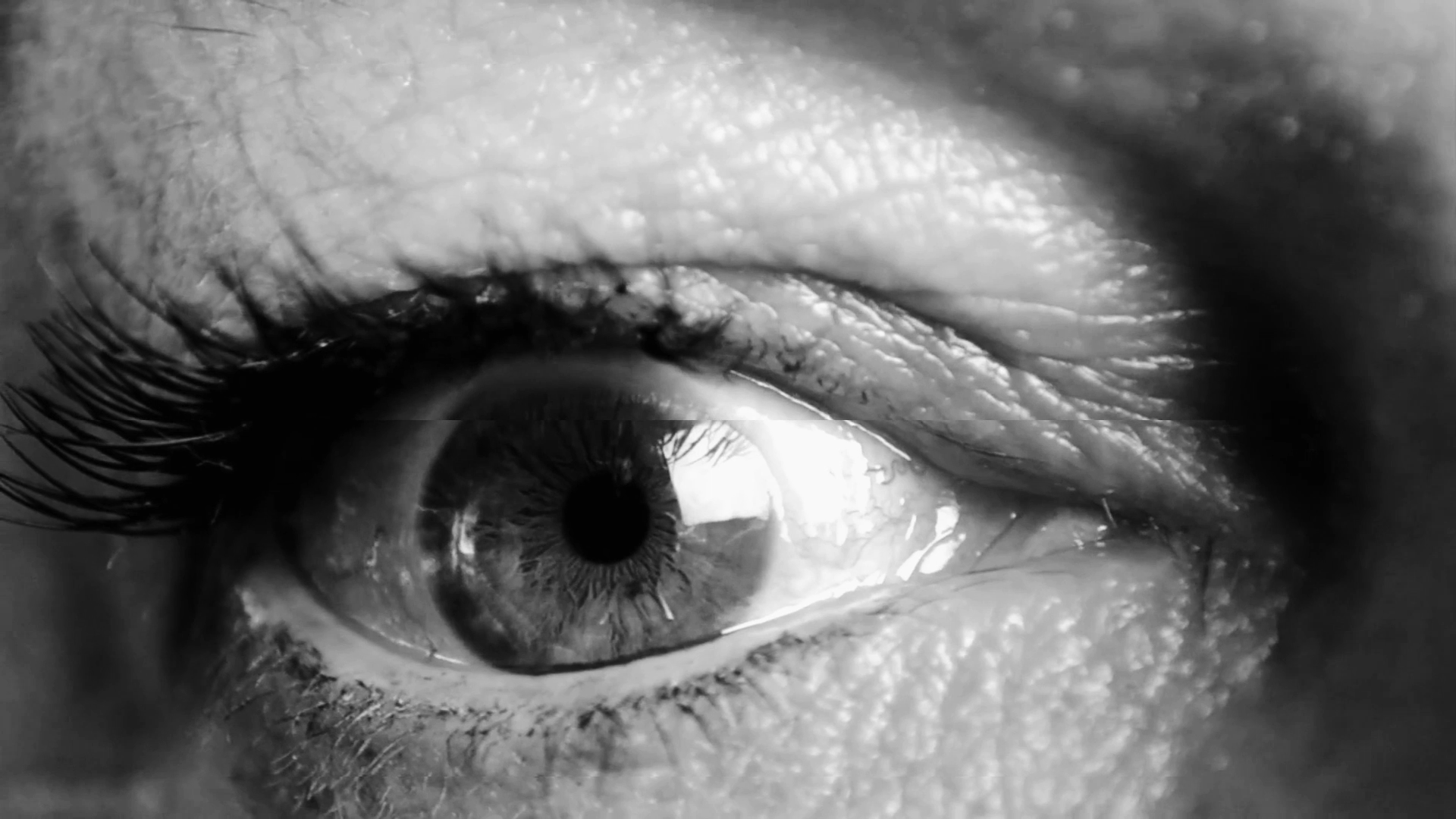 videocollectifs_22_3